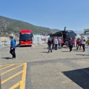 삼천포유람선협회 이미지