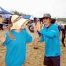 태안바다 이미지