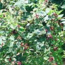 세븐일레븐 외동점 이미지