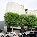 변호사윤미영법률사무소
