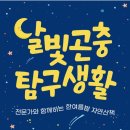 여름곤충 탐구생활 이미지