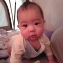 대왕암공원 캠핑장 이미지