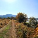 주민행정사사무소 이미지