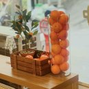 도그에이드 이미지