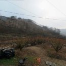 안테나공인중개사사무소 이미지