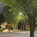 더 그린 행정사사무소 이미지