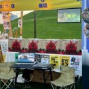 순천 애니멀 필름 페스타 이미지