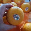 슬비농장 이미지