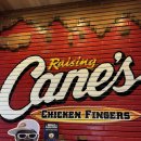 핑거스샐러드(fingers salad) | 미국가면 꼭 먹어봐야하는 레이징 케인즈 치킨 핑거 리뷰