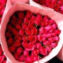 꽃들처럼 이미지