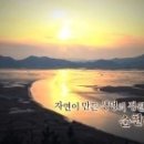 순천만 갈대밭 이미지