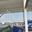 미인열차 | 교토여행✈️ 간사이 공항에서 하루카 특급 열차 타고 교토로🧚‍♀️/교토 가성비 호텔 추천👍/기요미즈데라