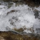 구룡축산 이미지