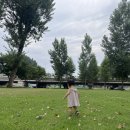 보강천 | 증평 보강천 물놀이터 개장 방문 후기, 충북 아이와 가볼만한 곳