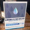 아이젠트리금호점 안경원 | 대구 사수동 안경, 선글라스 맛집 : 아이젠트리 금호점