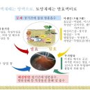 발효농법- 양액재배는 양액으로, 토양재배는 발효액비로 이미지