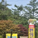 좌구산편의점 이미지