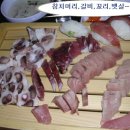 참치와친구들 이미지