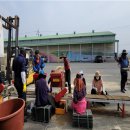 국립종자관리소 이미지