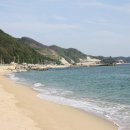 이종식농장 Daum카페