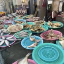 청자복음수산 이미지