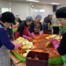 전몰군경미망인회 이미지