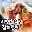 참치킹 | 부산시청 술집 참치킹참치연어 야경보며 먹는 가성비 참치