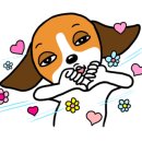 교촌치킨파동점 네이버블로그