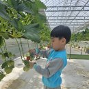 금오초등학교병설유치원 이미지