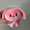 해피독쌤 | 25년 12월 1주차 기록_ⓒ.MI-NYONG BLOG