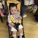 두 아이와 4박 5일 괌여행 1일차 ( 돌아기와 여행 , 괌 리프호텔 후기)✈️