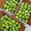 장아찌 담으세요. 청 참외 10키로 이미지