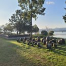 호수길 걷기명상 이미지