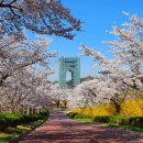 경주천년한우 보문명품관 이미지