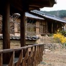 안동호민박 | 전통과 자연이 어우러진 화회마을 소개