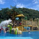 감문국이야기 이미지