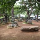 고향막국수 이미지