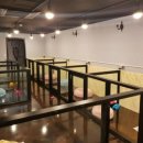 킹스유치원 이미지