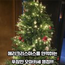 선약 쌍촌점
