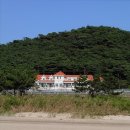 장꽁(카멜리아) 이미지