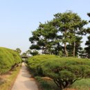 한밭수목원 Daum카페