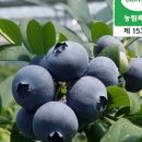 민찬농장 이미지