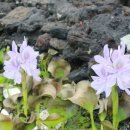 바당 미술관 이미지