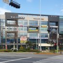 더 베이직 안경원 이미지