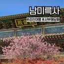 강진-8 | 전남 강진 남미륵사) 서부해당화와 철쭉 개화 시기 방문 후기