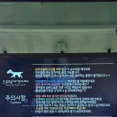 으르렁애견카페 이미지