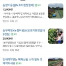 복농장 | [김포] 20개월 아기랑 치유농장 뒤란 후기