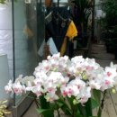 곤지암후계자화원