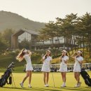 그린에어로빅 | 🥇골프 입문 골프장갑 추천 TOP 7 (미끄럼 90% 줄이는 선택법)