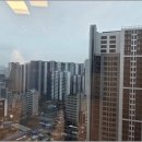 자이약국 | 이문동부동산 생활 인프라 리얼후기, 아이파크자이 커뮤니티까지 총정리!